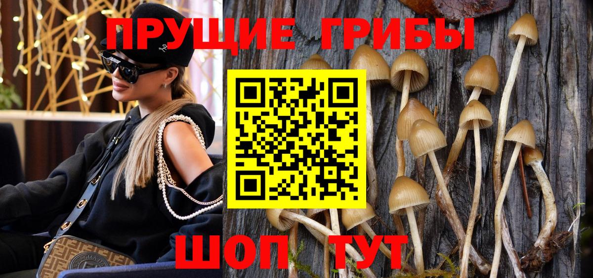 Псилоцибиновые грибы мицелий Междуреченск
