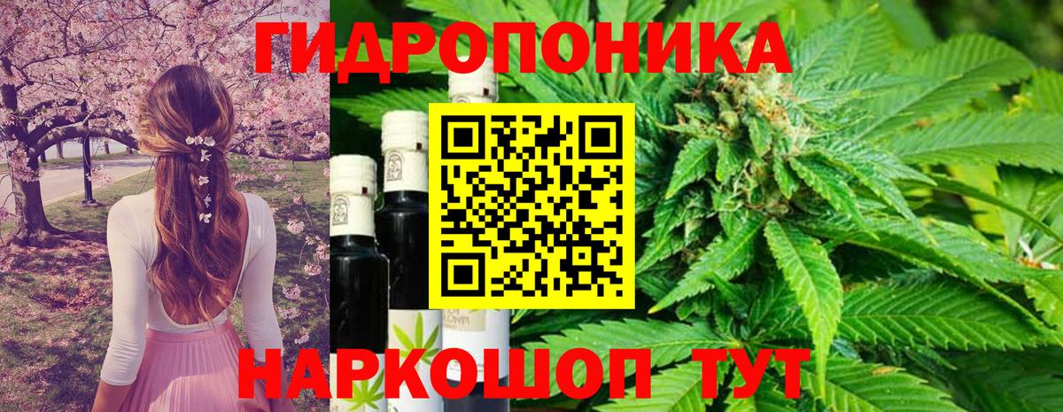 Конопля планчик  Вход с VPN  Канабис THC 21%  Междуреченск  Конопля индика 